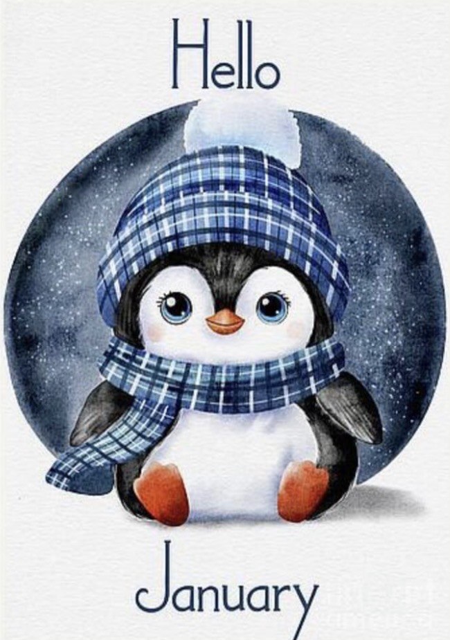 Hello January Penguin artwork