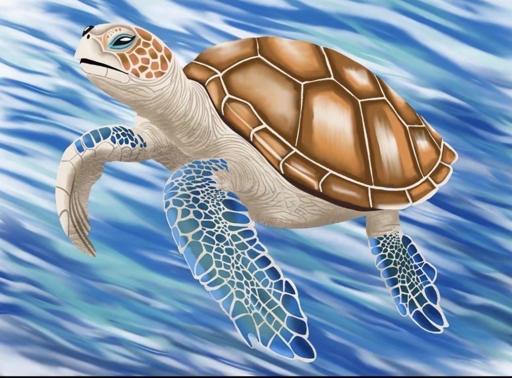 Sea Turtle artwork